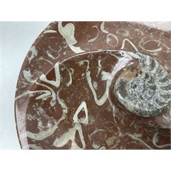 Large circular dish with a raised Goniatite to the centre and Orthoceras inclusion, age: Devonian period, location: Morocco, D30cm