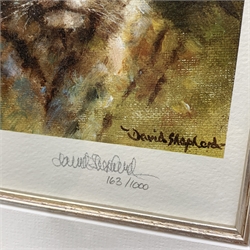  Two small limited edition David Shepherd prints, depicting  tiger and cheetah, each signed and numbered in pencil 163/1000, within card mount and framed and glazed, frame H31cm L28.5cm.   