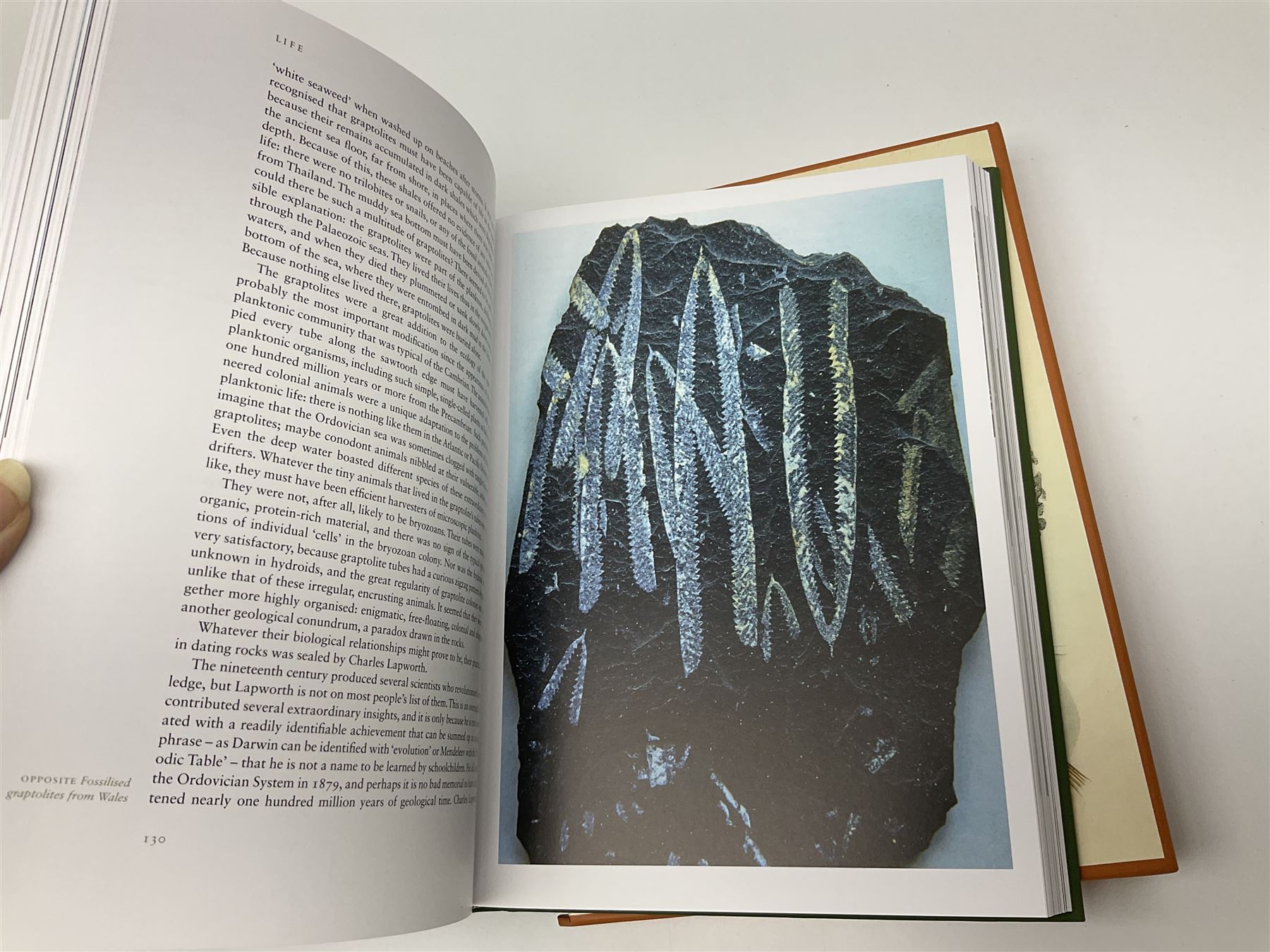 Folio Society - nineteen volumes including Life, The Dead Sea Scrolls, The World of the Odysseus, The Trial of the Templars, etc