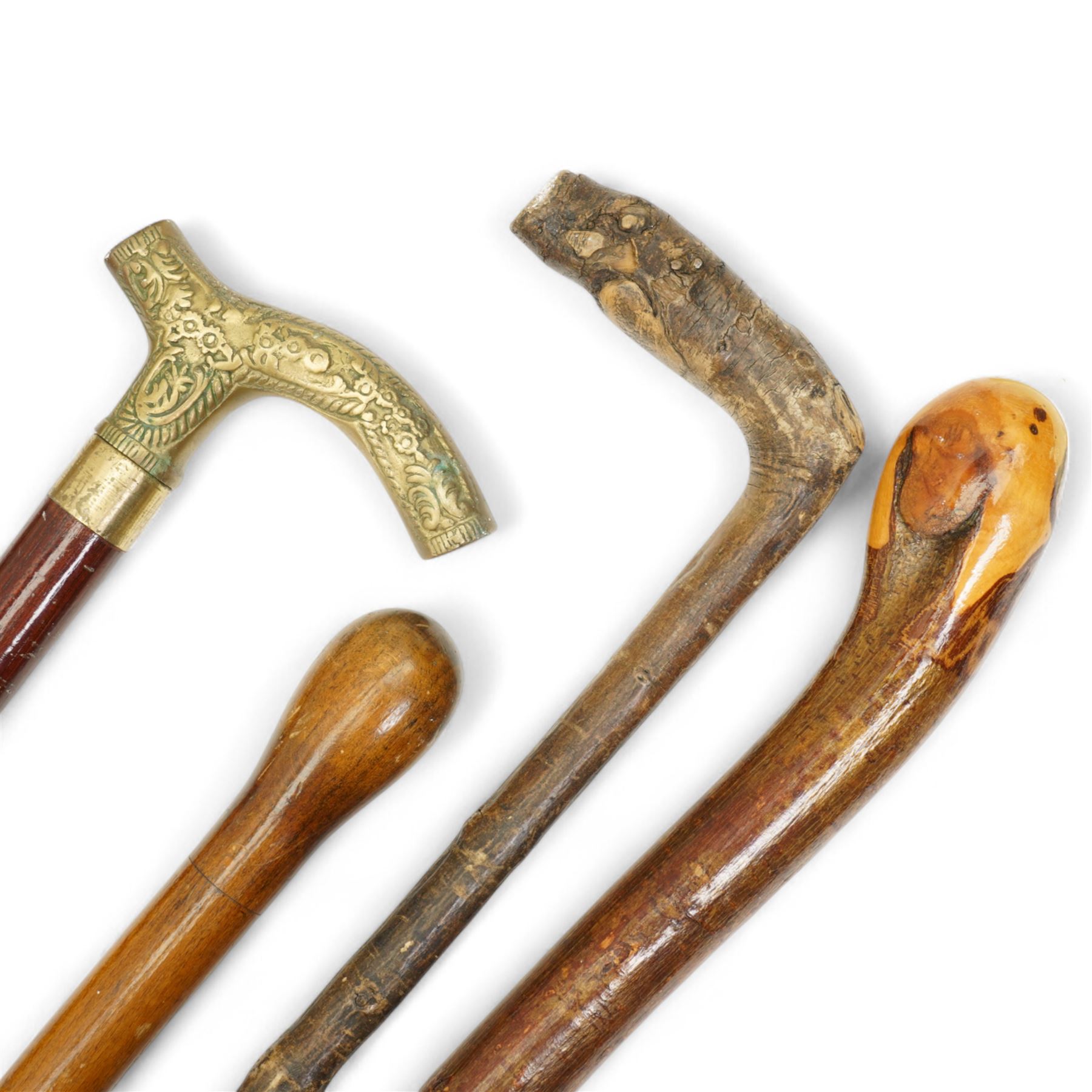 Thornwood walking stick with carved dogs head handle and seven other sticks