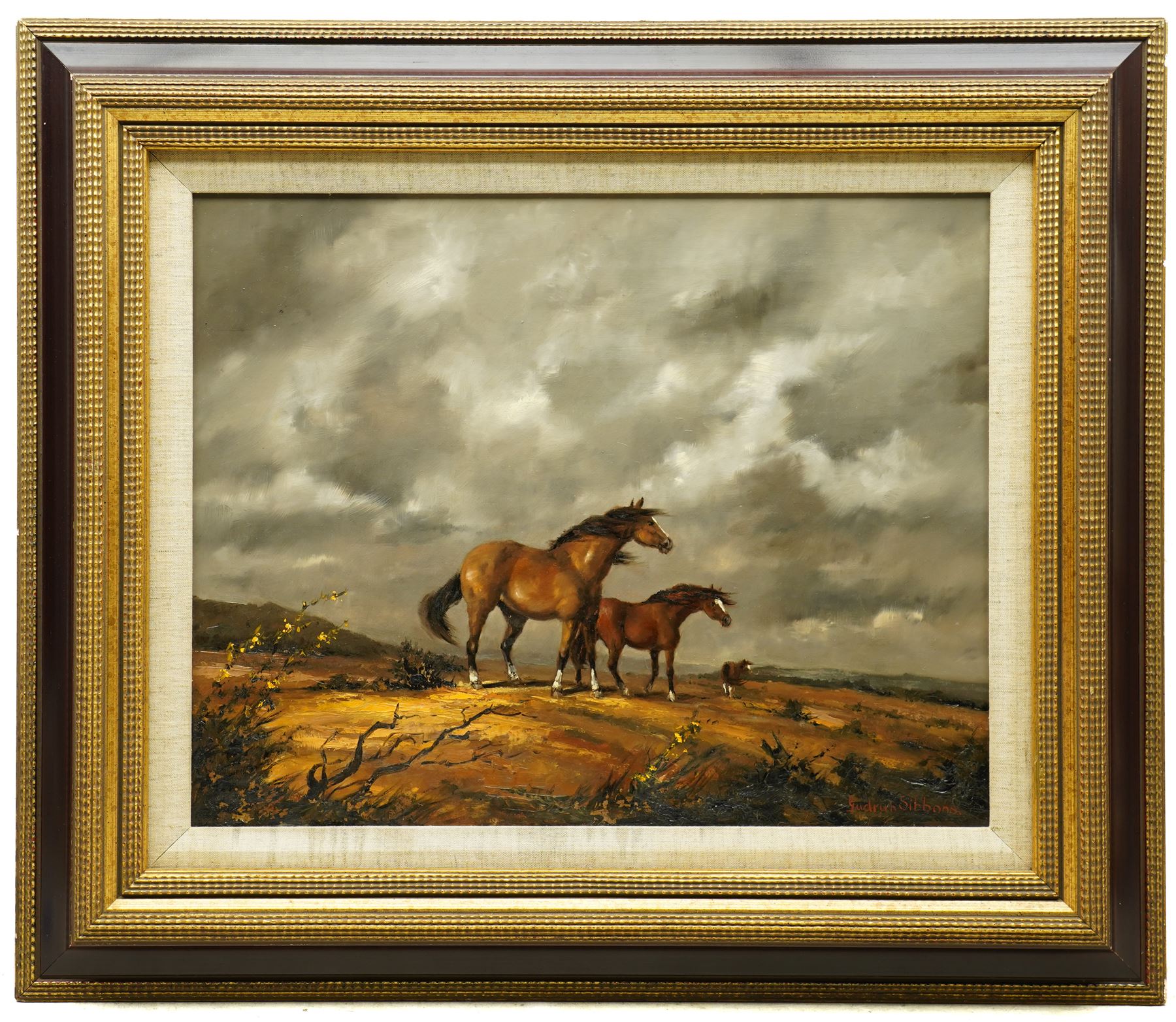 Barbara Gudrun Sibbons (German 1925-): Horses on a Windswept Moor, oil on board signed 39cm x 49cm