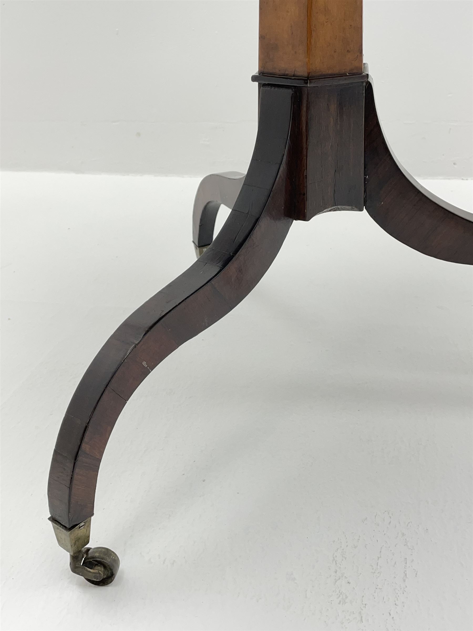 Regency style birdseye maple and rosewood tripod table, hexagonal tilt top with segmented veneer and banding, tapered hexagonal column on three splayed serpentine supports, brass cups and castors 