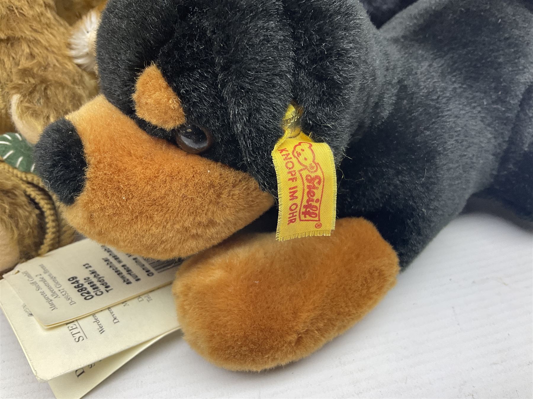 Seven modern Steiff teddy bears comprising two limited edition '1908 Paul the Growler' bears Nos.1124/3000 and 1310/3000; 028649 Classic Teddybear 23; 005992 Classic Teddybear 28 (black); 071249 Mungo Meerkat 30; 079139 Reclining dog for American Kennel Club; and 029561 Petsy gespitzt (1928) 16cm; together with a Mrs. McCatty's limited edition 2156 Sophie bear No.1557/1750; all unboxed but most with labels (8)