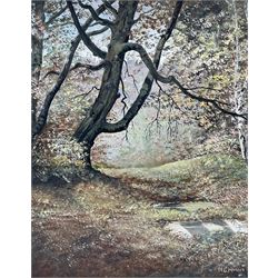 N C Hanson (British 20th century): 'Hob Crag Rosendale' and 'In Mulgrave Woods Sandsend', two oils on canvas signed max 33cm x 47cm (2)
