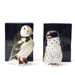 Three Royal Crown Derby paperweights, comprising Puffin with gold stopper, Rockhopper penguin with gold stopper, and Penguin and Chick with gold stopper, two with boxes (3)