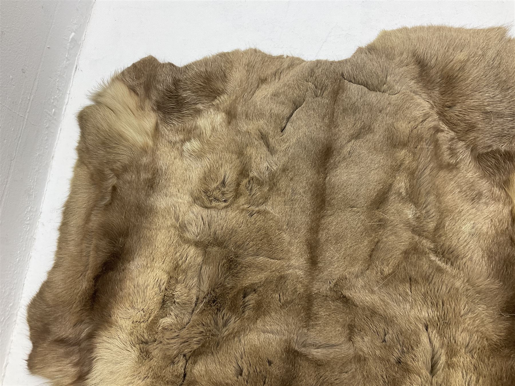 Taxidermy; Goat (Capra aegagrus hircus) pelt and deer (Cervidae) pelt, largest example L127cm