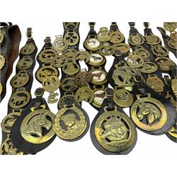 Large collection of horse brasses, including four with ceramic bosses depicting heavy horses.  