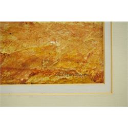 Keith Mountain (British 1944-): Cliff Face and Trees, watercolour on textured paper signed 44cm x 35cm 