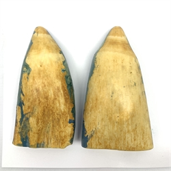Pair of sperm whale teeth, relief decorated and painted with three-masted whaling ships H14.5cm (2)