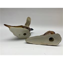 A collection of Beswick figures, comprising ginger cat model no 1898, ginger Persian kitten model no 1886, pheasant in flight model no 849, and pheasant model no 1226b.  