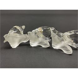 Fourteen Swarovski Crystal bird figures, to include toucan, mandarin duck, swans, parrot, cranes etc 