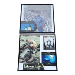 Collection of David Attenborough memorabilia, to include 'The Private Life of Plants' signed DVD, 'The Private Life of Plants' hardback, 'Adventures of a Young Naturalist' paperback, framed signed items and two other paperbacks
