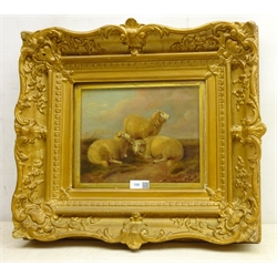  T S Cooper (British 1803-1902): Sheep in open Landscape, oil on mahogany panel signed and dated 1871, 19cm x 24cm   