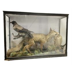 Taxidermy; 19th century cased display Red Fox (Vulpes vulpes) with pray, and a hooded crow ( (Corvus cornix) perched upon a branch in a naturalistic setting against a painted backboard, encased within an ebonised three pane display case, H70cm
