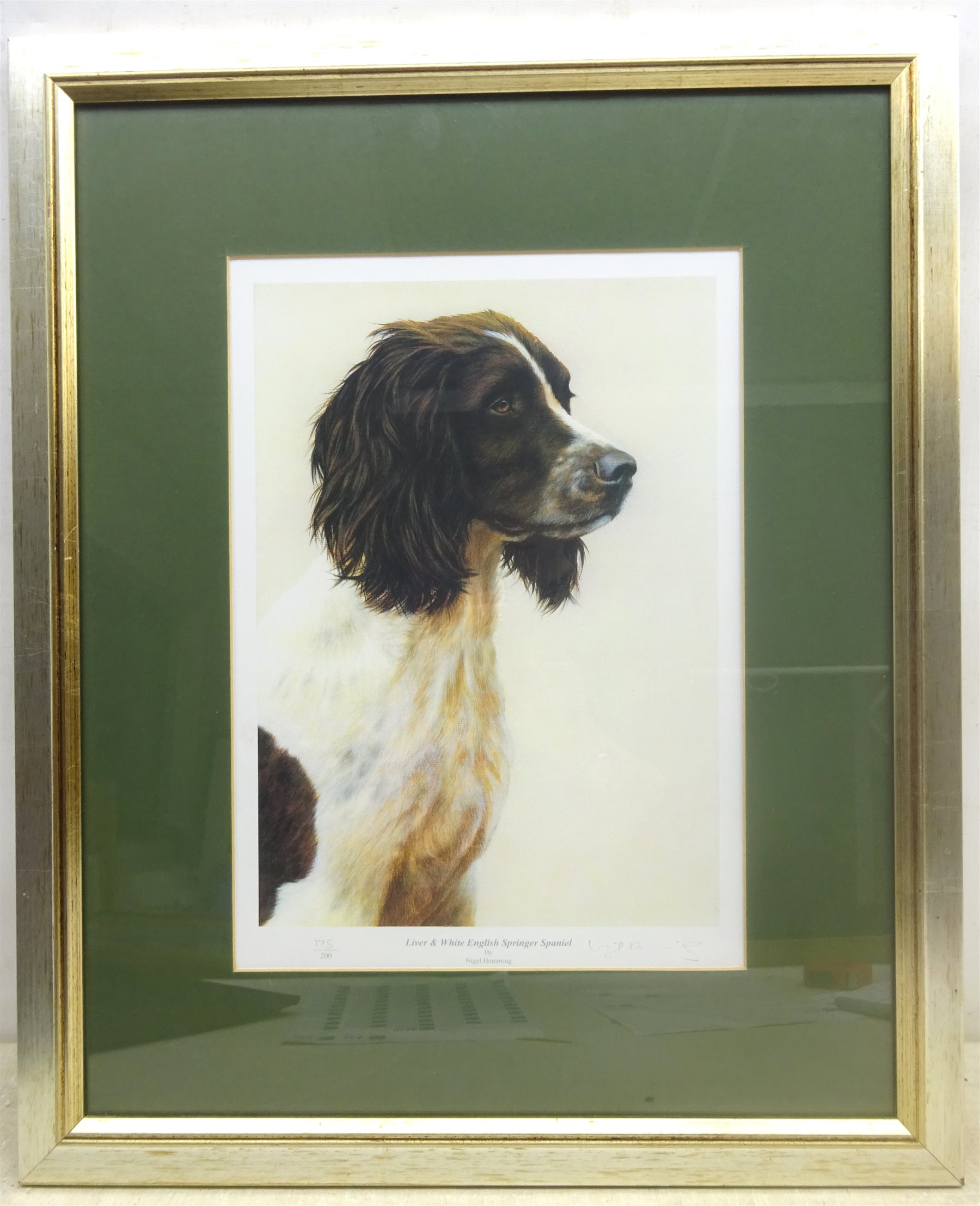 Nigel Hemming (British 1957-): 'Liver & White English Springer Spaniel', limited edition colour print signed and numbered 175/200 in pencil 35cm x 25cm