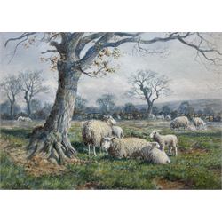 Joseph Dixon Clark (Newcastle 1849-1944): Sheep in Springtime, watercolour signed 25cm x 35cm