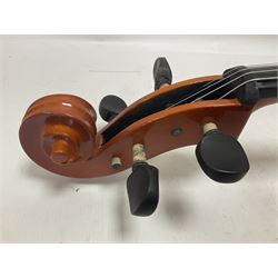 Gear 4 Music full size cello with a maple back and ribs and spruce top, ebony fittings and fingerboard, with two bows in hard case Length 123cm