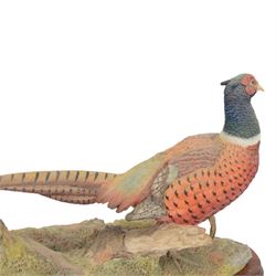 Border Fine Arts Autumn Glory, Millennium model No. B0488 by Russell Willis, limited edition 645/950, modelled as a pheasant on wood base, with certificate and box, H32cm 