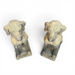 Pair of cast stone hunting pointer dogs in seated poses raised on rectangular bases, in antique weathered finish