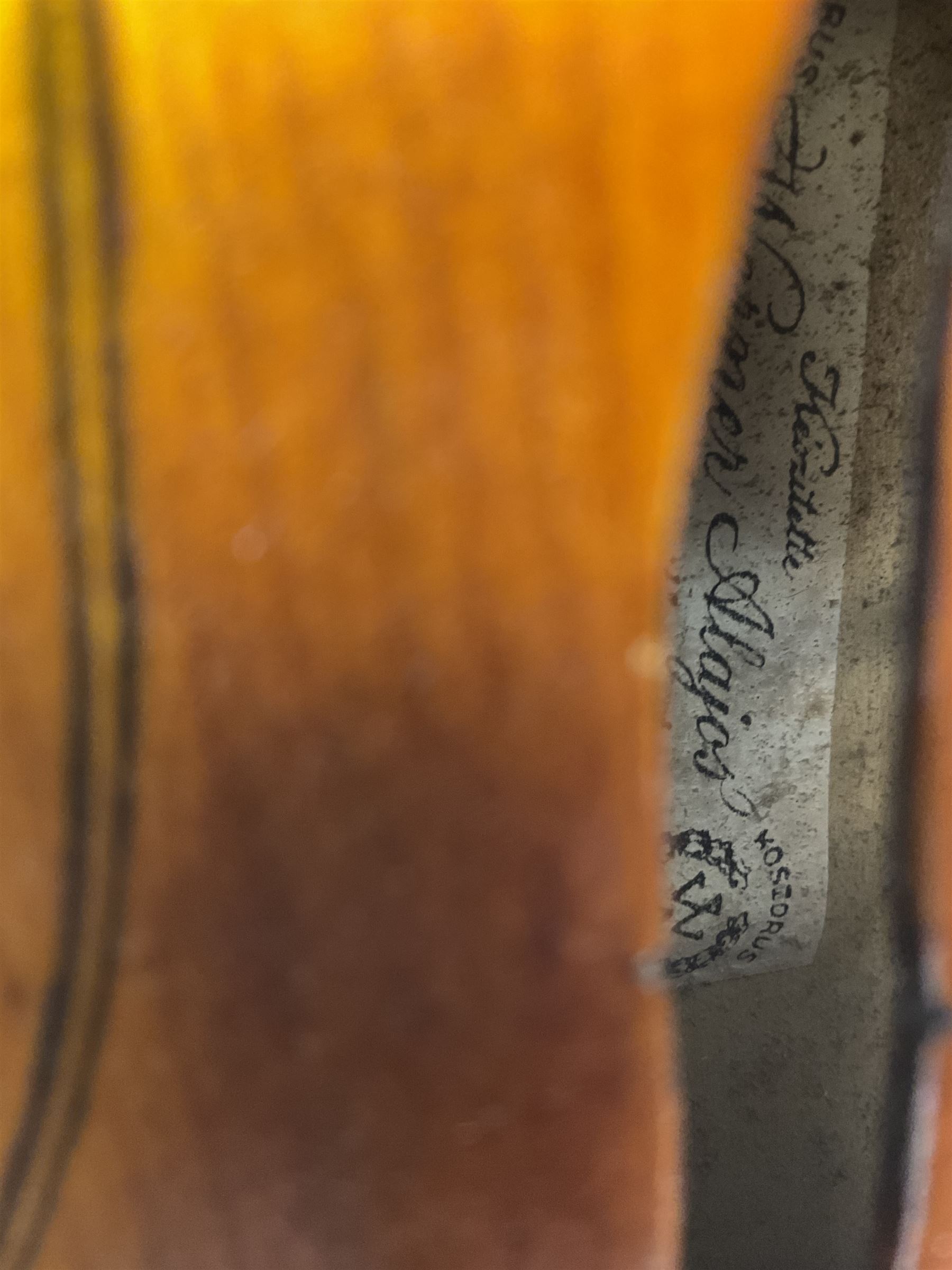 1920s continental large viola with 42cm two-piece maple back and ribs and wide grain sprucewood top with guarnerie sound holes, bears label 'Werner Alajos Budapest', overall length 69cm; in modern carrying case