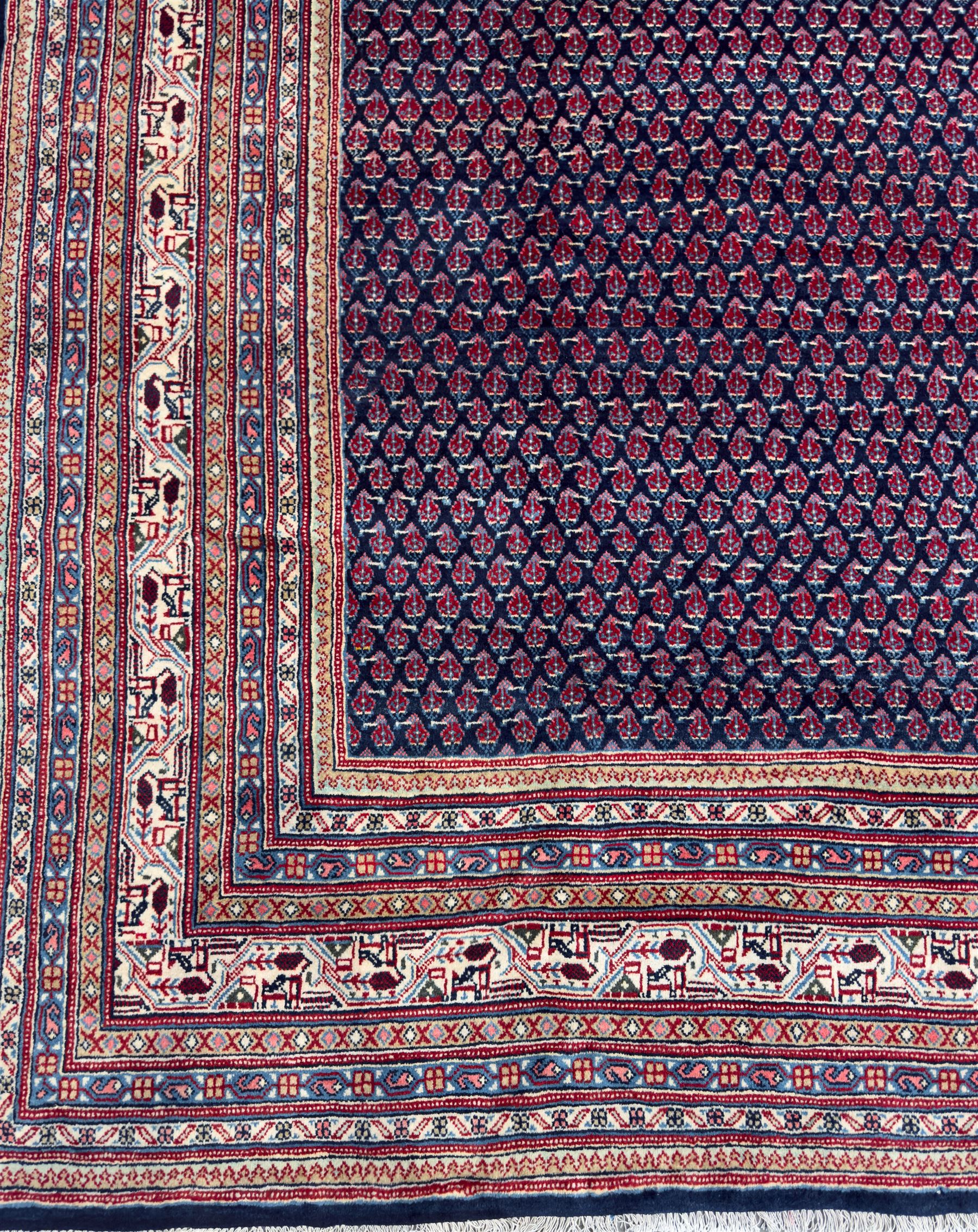 Northwestern Persian Bottehmir hand-knotted carpet, dark indigo field with an all-over design of boteh motifs arranged in diagonal rows, framed by multiple borders, main ivory border with stylized floral sprays between narrow geometric guard stripes, 362cm x 268cm