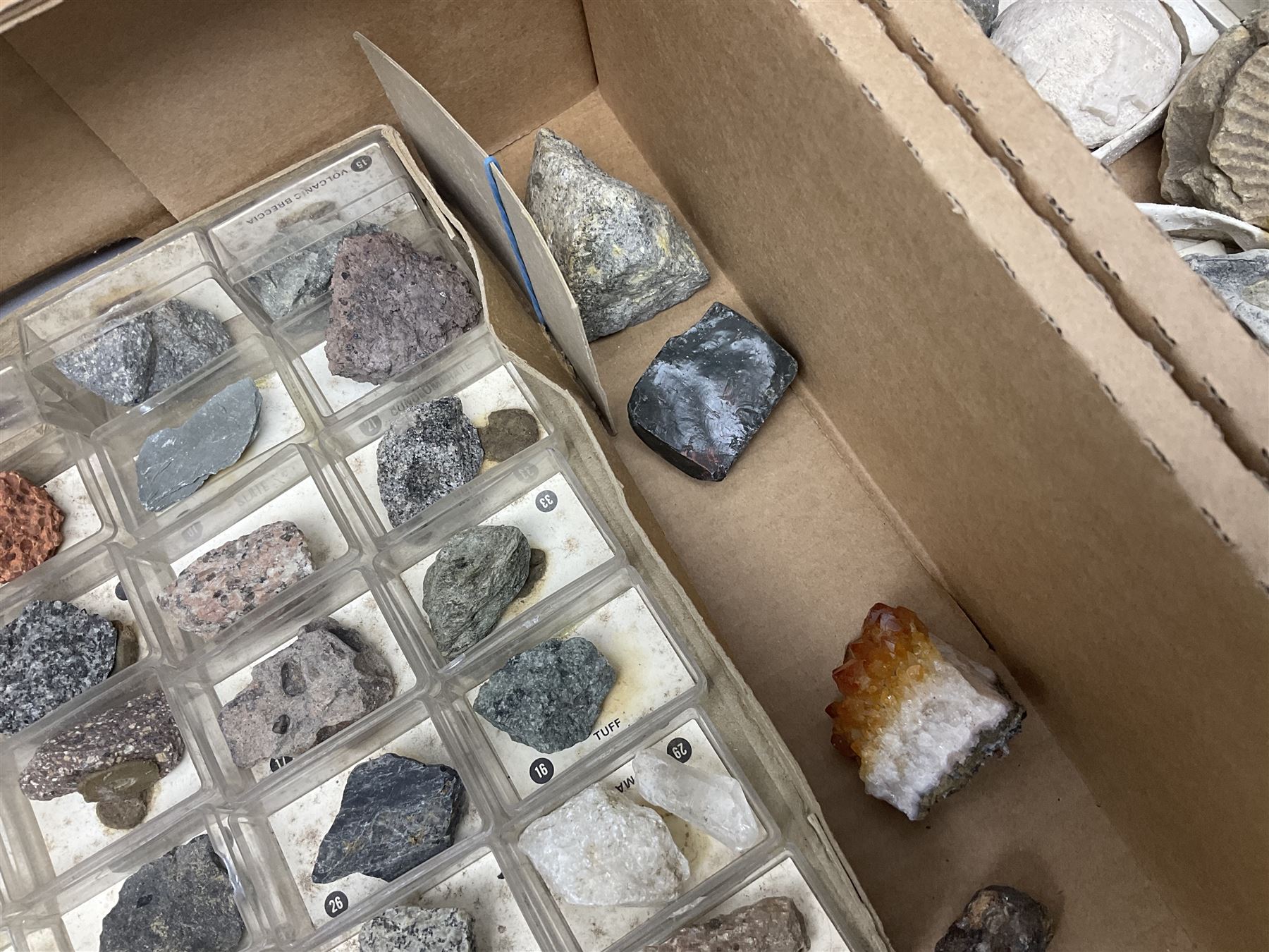 Natural history; Collection of rock and mineral specimens to include muscovite, sphalerite zinc blende, breccia, migmatite, fluorite etc, housed in a wood box, some named 