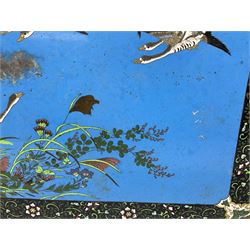 Chinese cloisonné panel, possibly Jiaqing, of rectangular form with shaped corners, decorated with a flock of geese, a number in flight against a blue ground sky detailed with crescent moon, others stood upon a grassy outcrop detailed with flowering vines, set within a foliate border with black ground, the underside with scroll design, H35cm W50cm