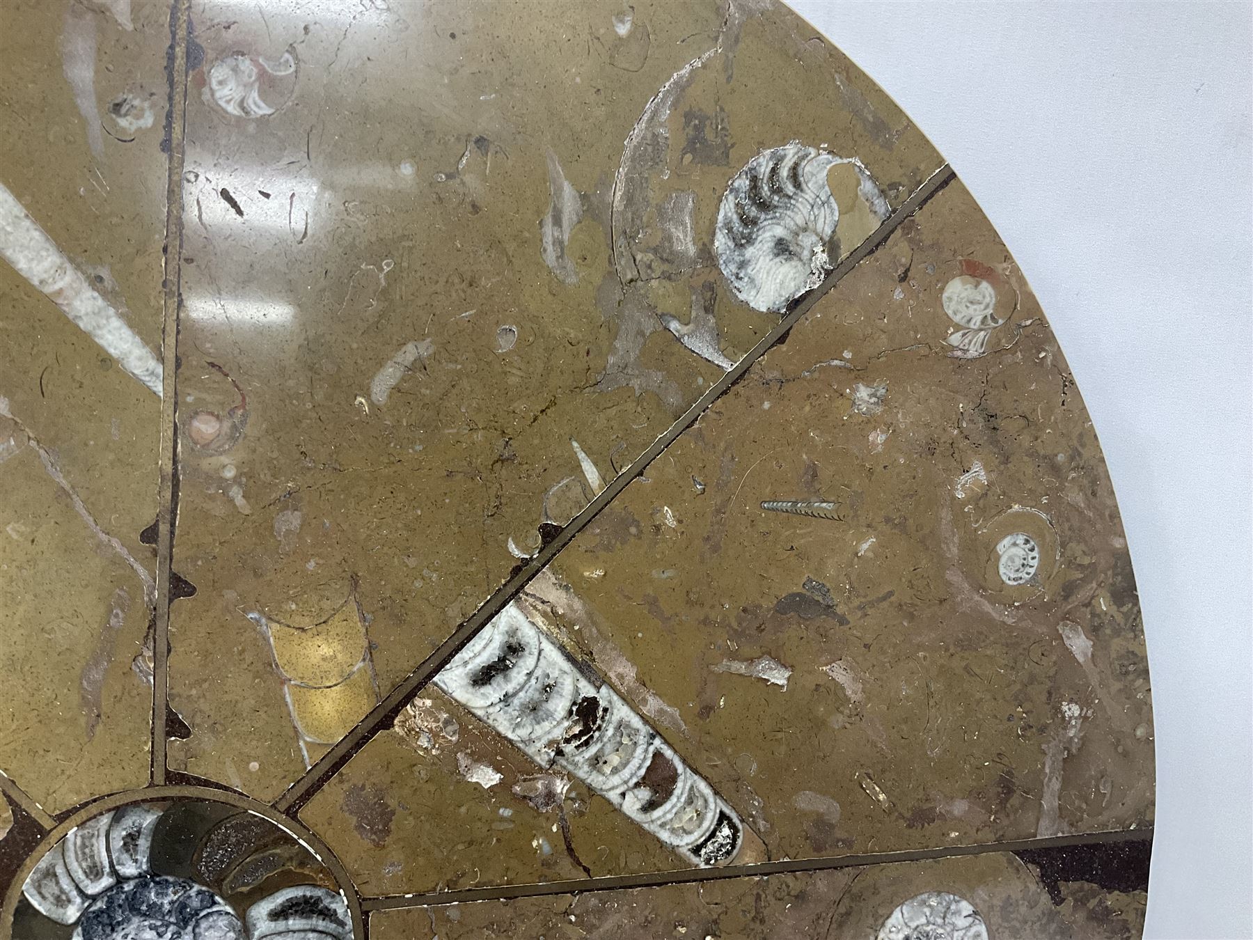 Circular limestone table top, with orthoceras and goniatite inclusions; age: Upper Devonian, location: Morocco, D45cm