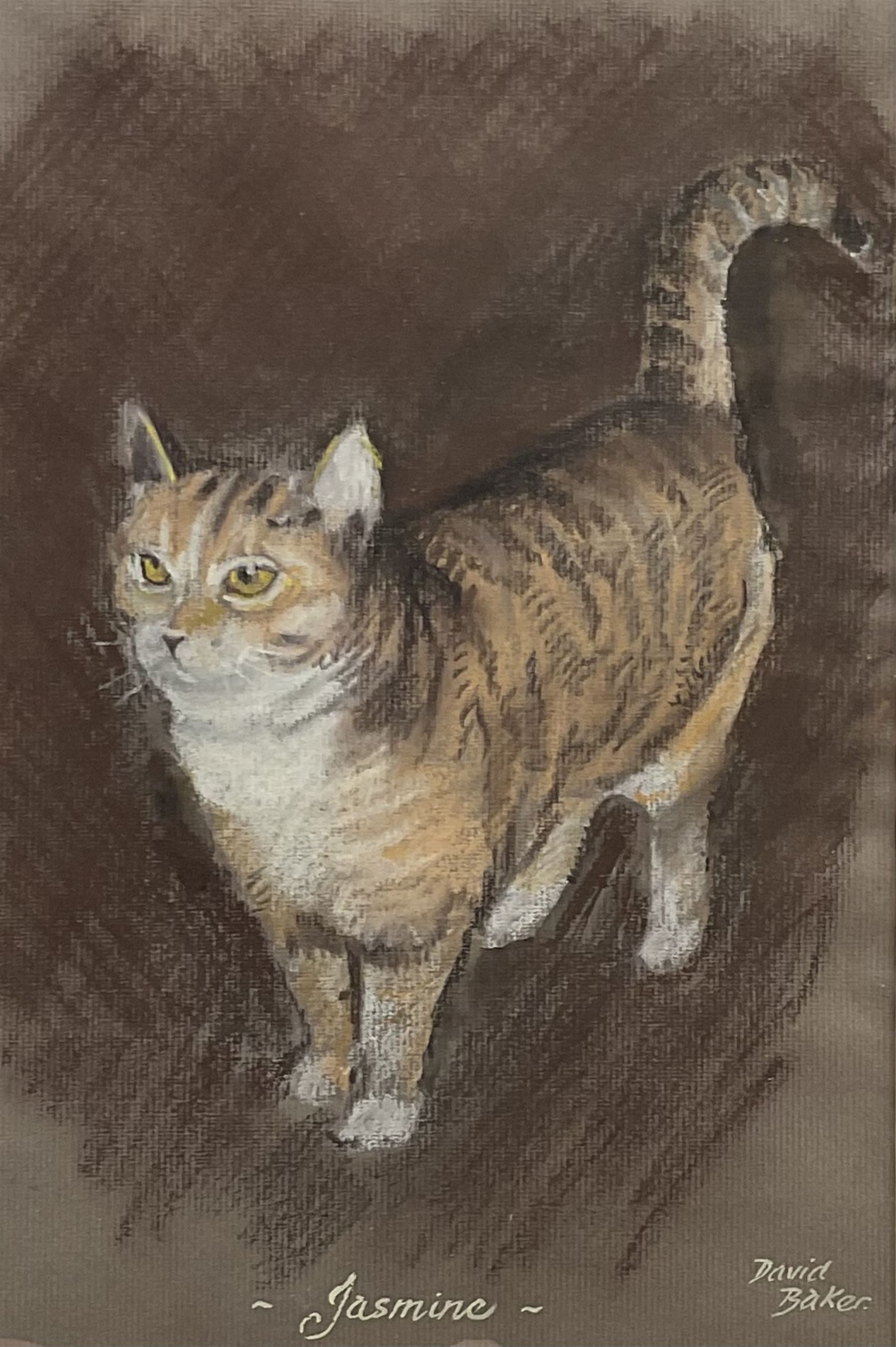 Catherine E Inglis (British Contemporary): Springer Spaniel, pastel signed; David Baker (British Contemporary): 'Jasmine' - Ginger Tabby Cat, pastel signed and titled 30cm x 20cm (2)