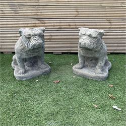 Pair of cast stone garden bulldogs, H40, D25, W45 - THIS LOT IS TO BE COLLECTED BY APPOINTMENT FROM DUGGLEBY STORAGE, GREAT HILL, EASTFIELD, SCARBOROUGH, YO11 3TX