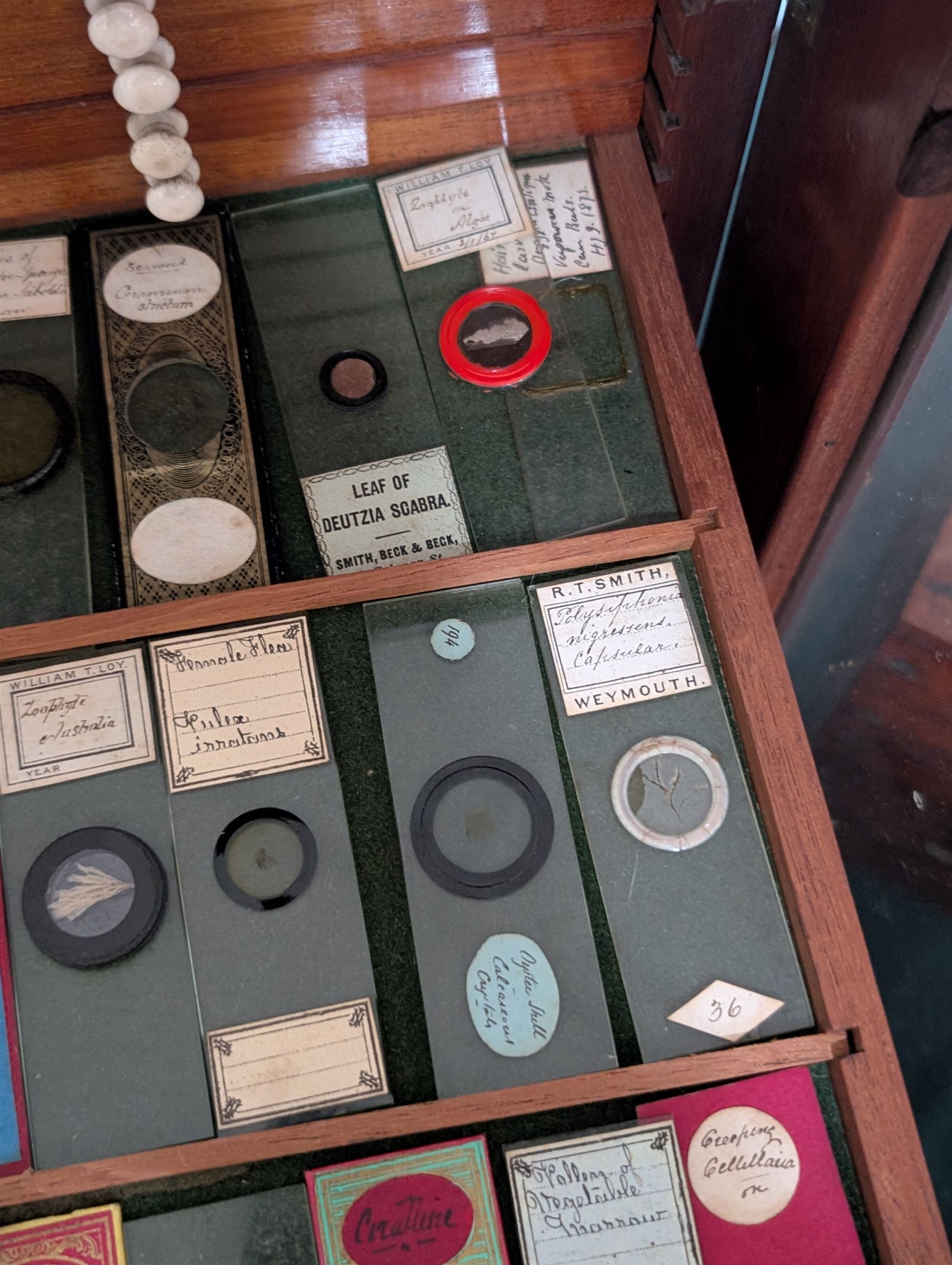 Victorian collector's specimen cabinet, containing a number of prepared microscope slides including miniature photographs, animal and human pathological, physiological and histological specimens and botanical specimens, mostly annotated in ink, the cabinet with glazed door, the drawers with bone handles and lined with green felt, owned by Dr Arthur Bristow, together with a picture of the doctor, cabinet H43cm
