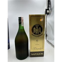 Mixed alcohol; Napoleon V.S.O.P brandy, Remy Martin V.S Grand Cru cognac and Martel VS cognac, various contents and proof (3)