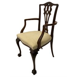 Chippendale design mahogany framed armchair, ball and claw feet, upholstered seat