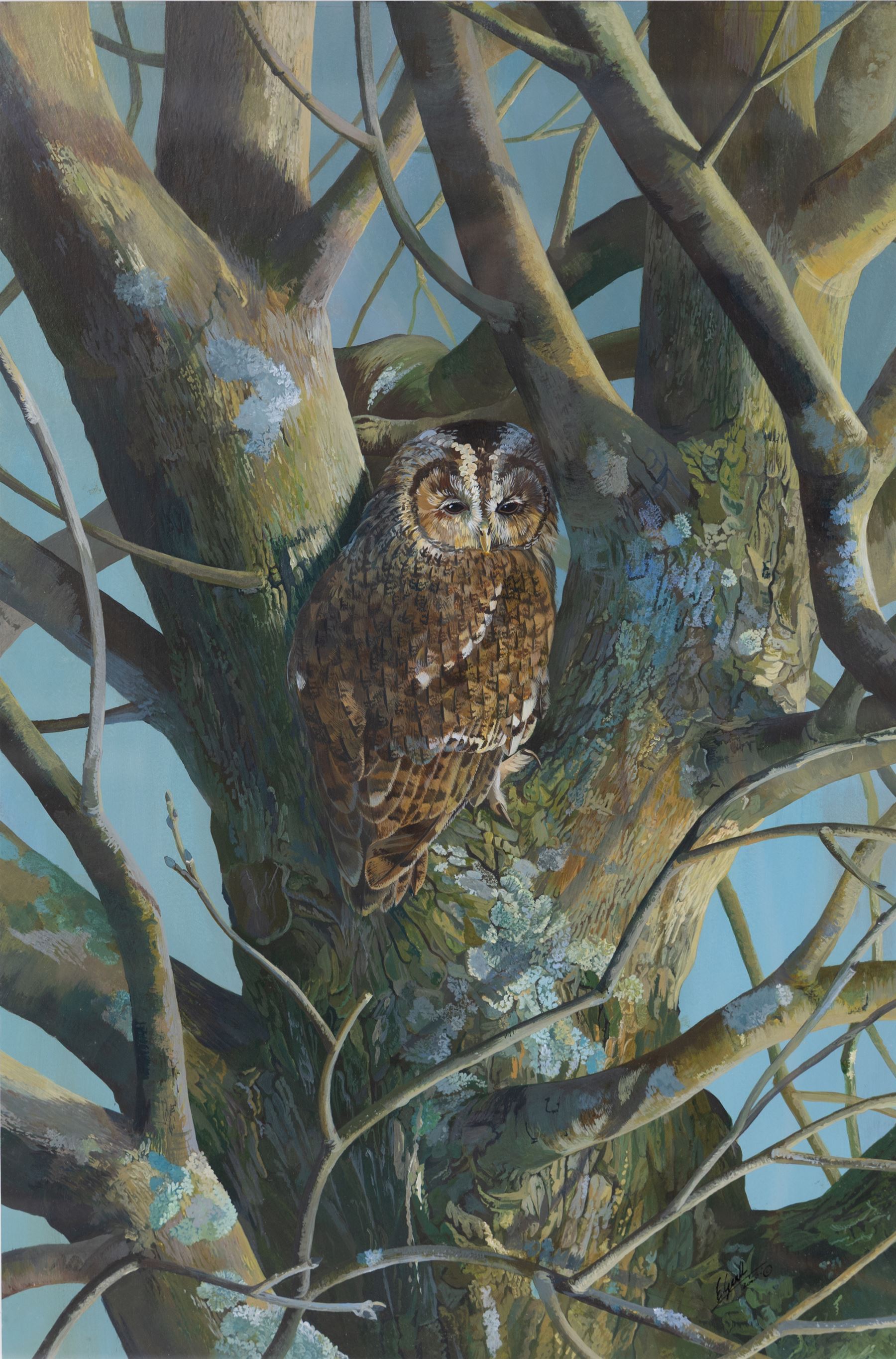 Elaine C Geall (British 1976-): 'African Leopard' and 'Patient Observer - Tawny Owl', acrylic on paper signed, titled verso 29cm x 48cm and 53cm x 35cm (2)