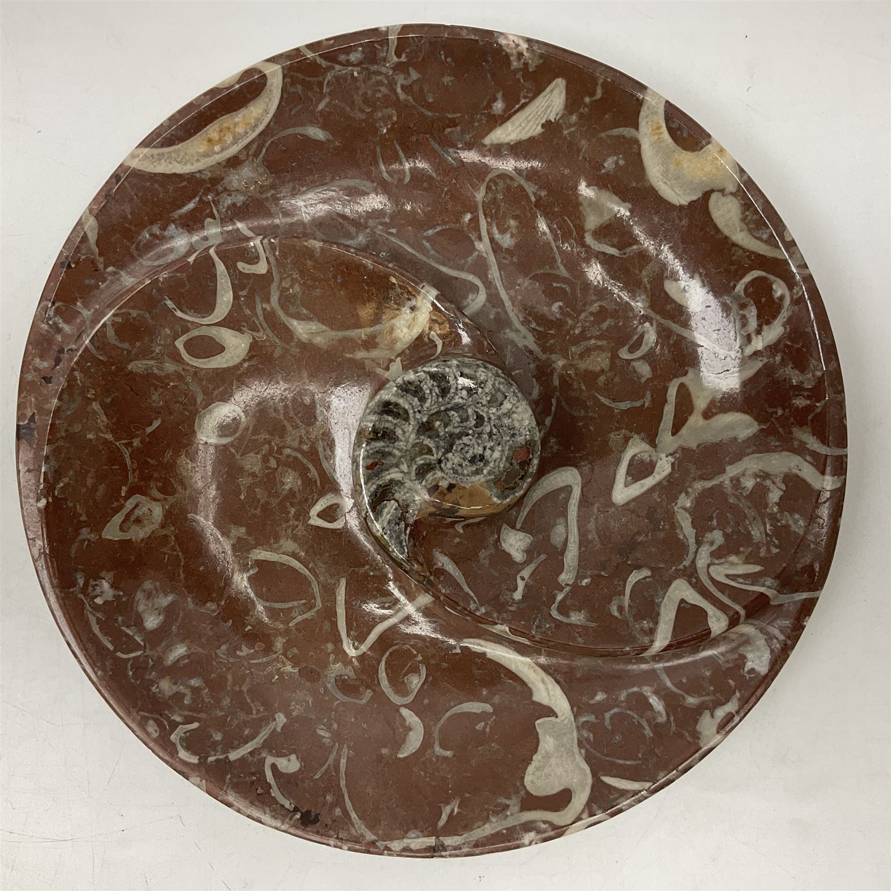 Large circular dish with a raised Goniatite to the centre and Orthoceras inclusion, age: Devonian period, location: Morocco, D30cm