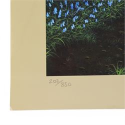 Danny Flynn (British 1958-): digital print of for a 90s TV show that never came to air featuring Danny Flynn in the centre and Arthur C Clarke looking on, two limited edition signed prints of a bluebell wood, two further signed limited edition prints of birds in surreal landscapes and a collection of postcards, three prints framed, largest H34cm

Notes: This item is from the private collection of Arthur C. Clarke's brother.