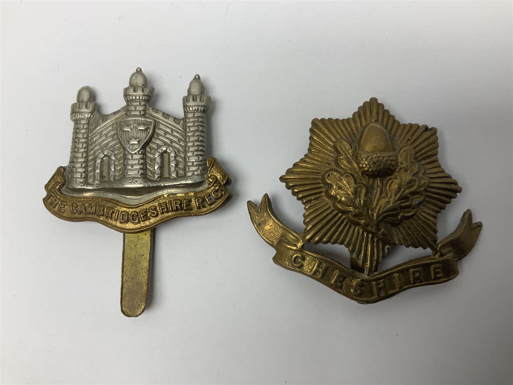 Twenty cap badges including Hertfordshire, Royal Sussex, Cambridgeshire, Hampshire, Notts and Derby, East Surrey, Herefordshire, South Lancashire, Devonshire, Bedfordshire, Durham Light Infantry etc (20)