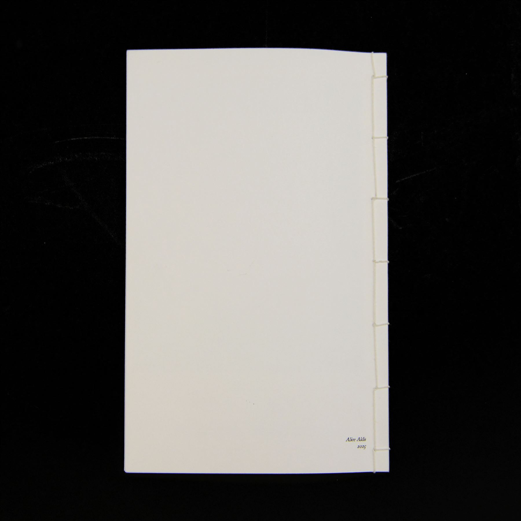 Alice Aldis (British 2002-); 'Toilet Paper Ornamentation - Collection One', hand-bound catalogue; together with three transfer-printed plates, largest D20cm 