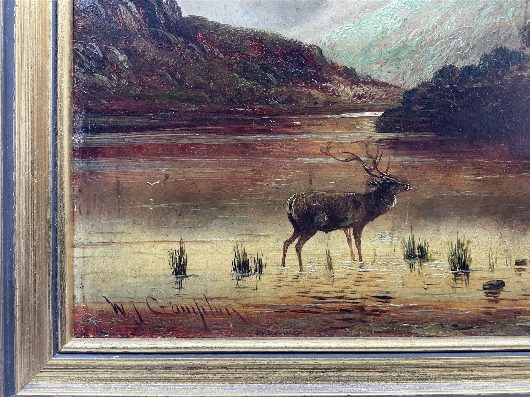 William James Smith Crampton (British 1855-1935): Highland Stag, oil on board signed 24cm x 46cm 
