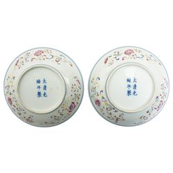 Pair Chinese Guangxu famille verte shallow dishes, decorated with dragons and phoenix, with Guangxu marks D13cm