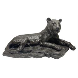 William Timym (1903-1990): Limited edition bronzed figure of a tiger, modelled in recumbent pose, the base signed and numbered 64/250 and signed W. Timym, L43cm
