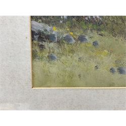 Reginald Daniel Sherrin (British 1891-1971): 'Grimspound Dartmoor', gouache signed l.l., titled in a later hand verso 29cm x 75cm