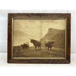 Charles Reid (Scottish 1837-1929): Highland Cattle, sepia photograph 35cm x 46cm
