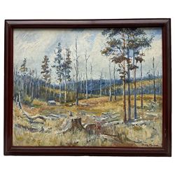 Dora Meeson Coates (Australian 1869-1955): 'A Fresh Clearing Australia', oil on board signed, titled verso on artist's Chelsea address label verso 40cm x 50cm 
Provenance: exh. W.I.A.C., label verso
Notes: Meeson was elected member of the Royal Institute of Oil Painters in London. She was also a member of the British Artists' Suffrage League