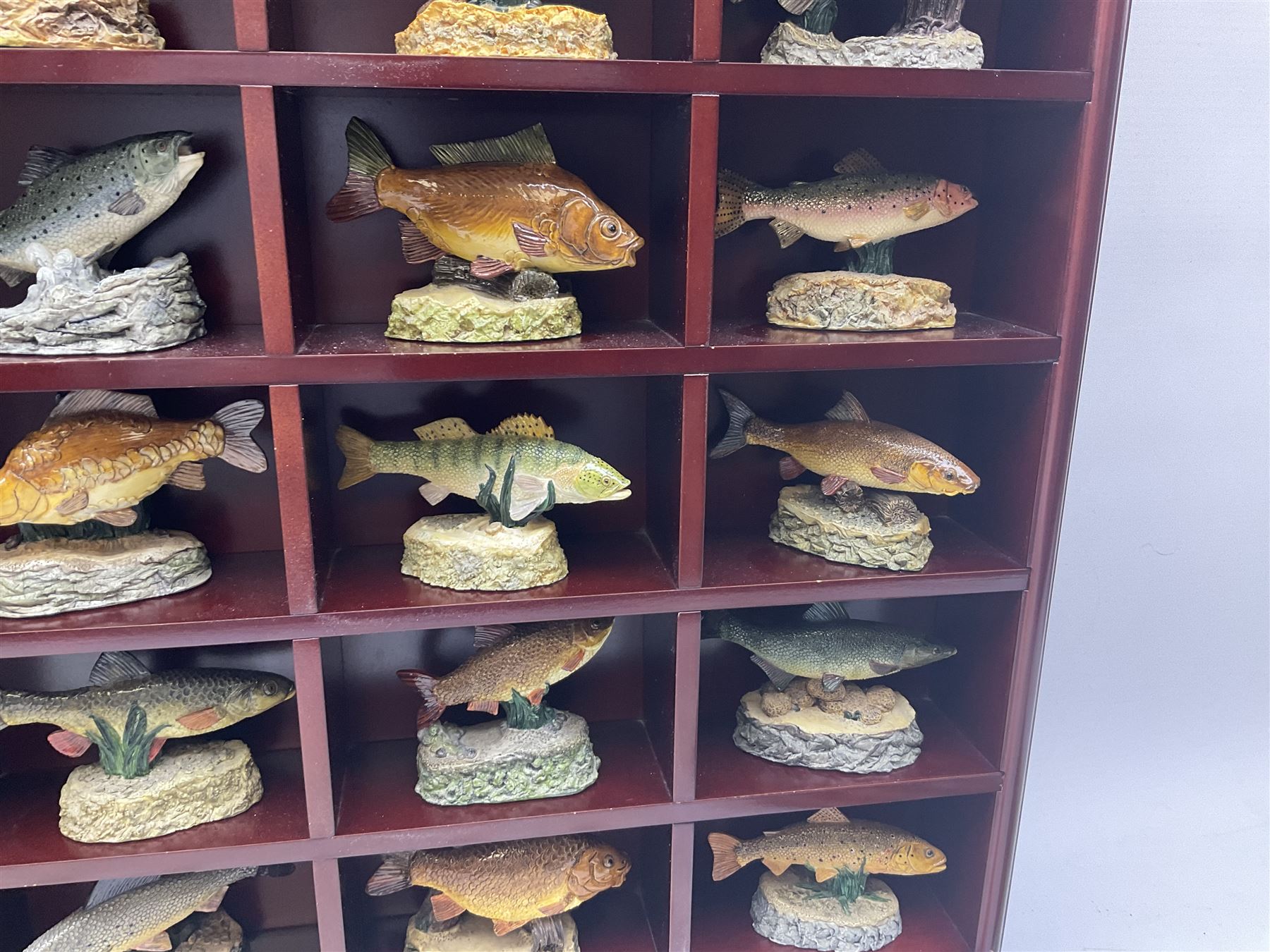 Twenty Four Danbury Mint models of fish, The Angler's Showcase, each with accompanying information card, in wooden wall mounted display shelf, with title plaque, display shelf H61cm L54cm