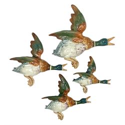 Set of four graduating Beswick flying duck wall plaques, comprising 596-0, 596-1, 596-2 and 593-3, largest L30cm