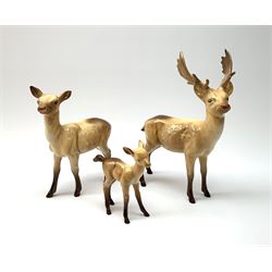 A Beswick Deer family, comprising Stag, Doe and Fawn. (3).  