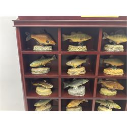 Twenty Four Danbury Mint models of fish, The Angler's Showcase, each with accompanying information card, in wooden wall mounted display shelf, with title plaque, display shelf H61cm L54cm