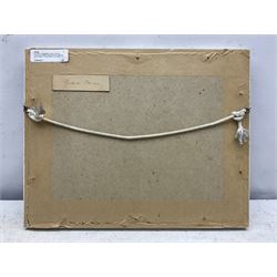 William J Mann (Scarborough early 20th century): 'The City Square Las Palmas' 'Gran Canaria' 'The Road to San Mateo' & 'Borganvillea Las Palmas' , set of four watercolours signed and one dated '32, 14cm x 22cm (4) 
Notes: Mann was a member of the Fylingdales Group of Artists and lived in Newby, Scarborough.