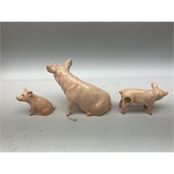 Collection of Beswick pig figures, to include John Beswick Little Likeables ‘Hide and Sleep’, white boar pig and John Beswick trio of pigs, all marked beneath (5)